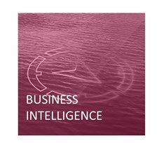 brainstorming Intelligence